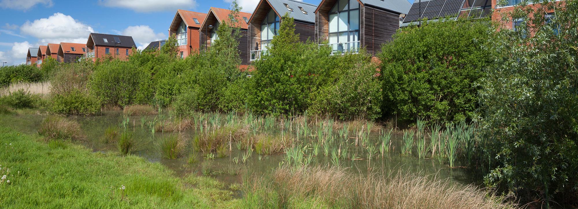 View of sustainable drainage SuDS for house development