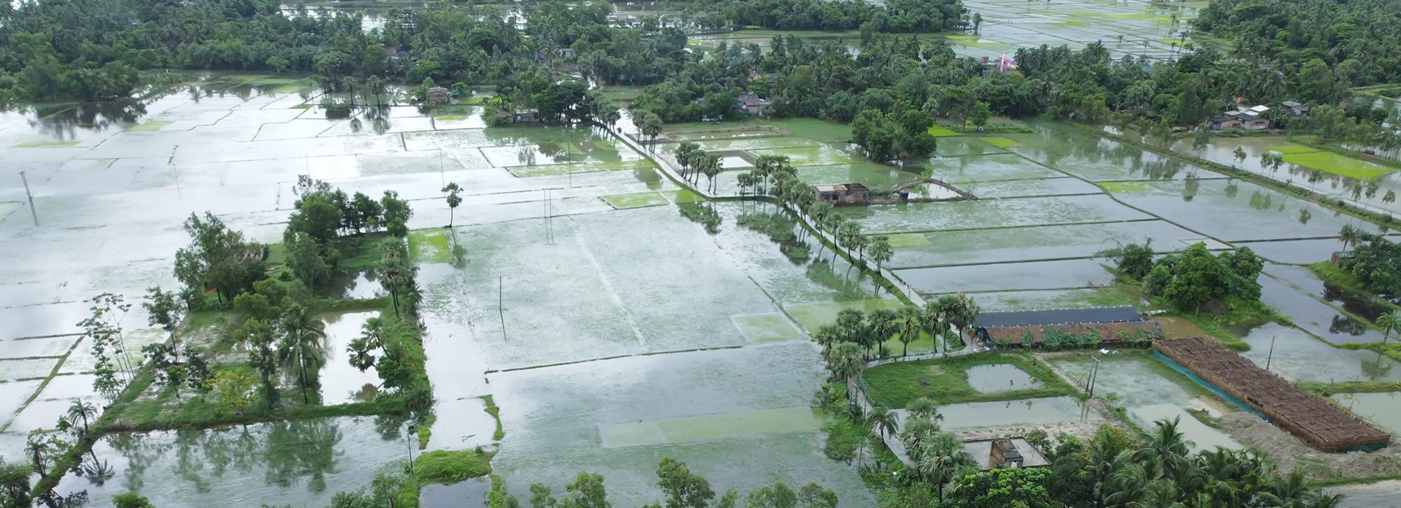 Flooded fields in west bengal