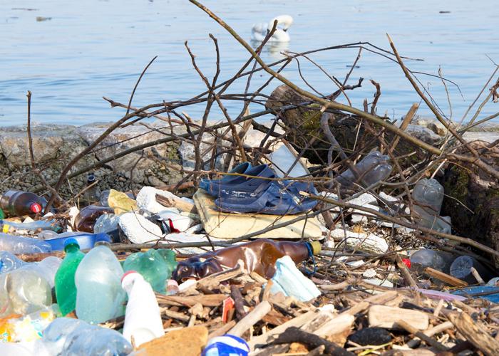 Plastic waste with swans in background