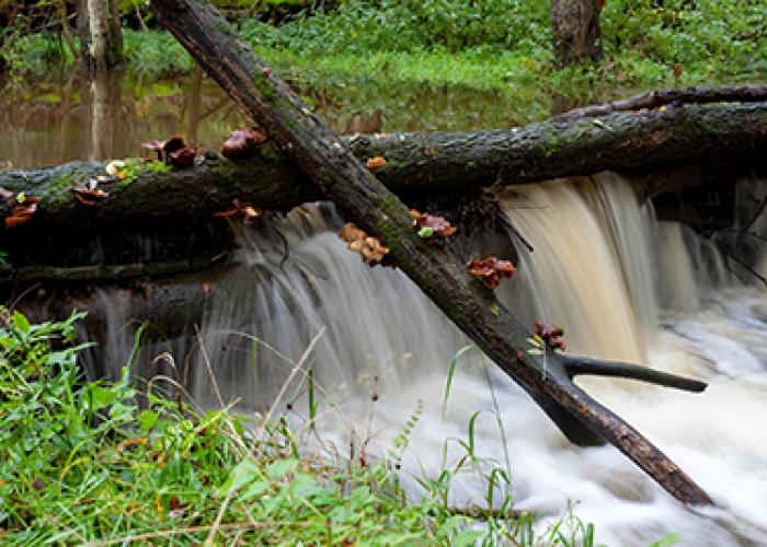 Close up view of leaky dam